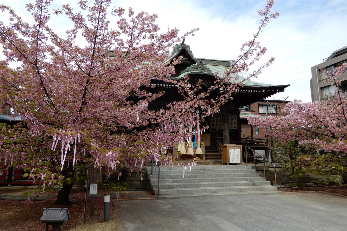 桜神宮の写真