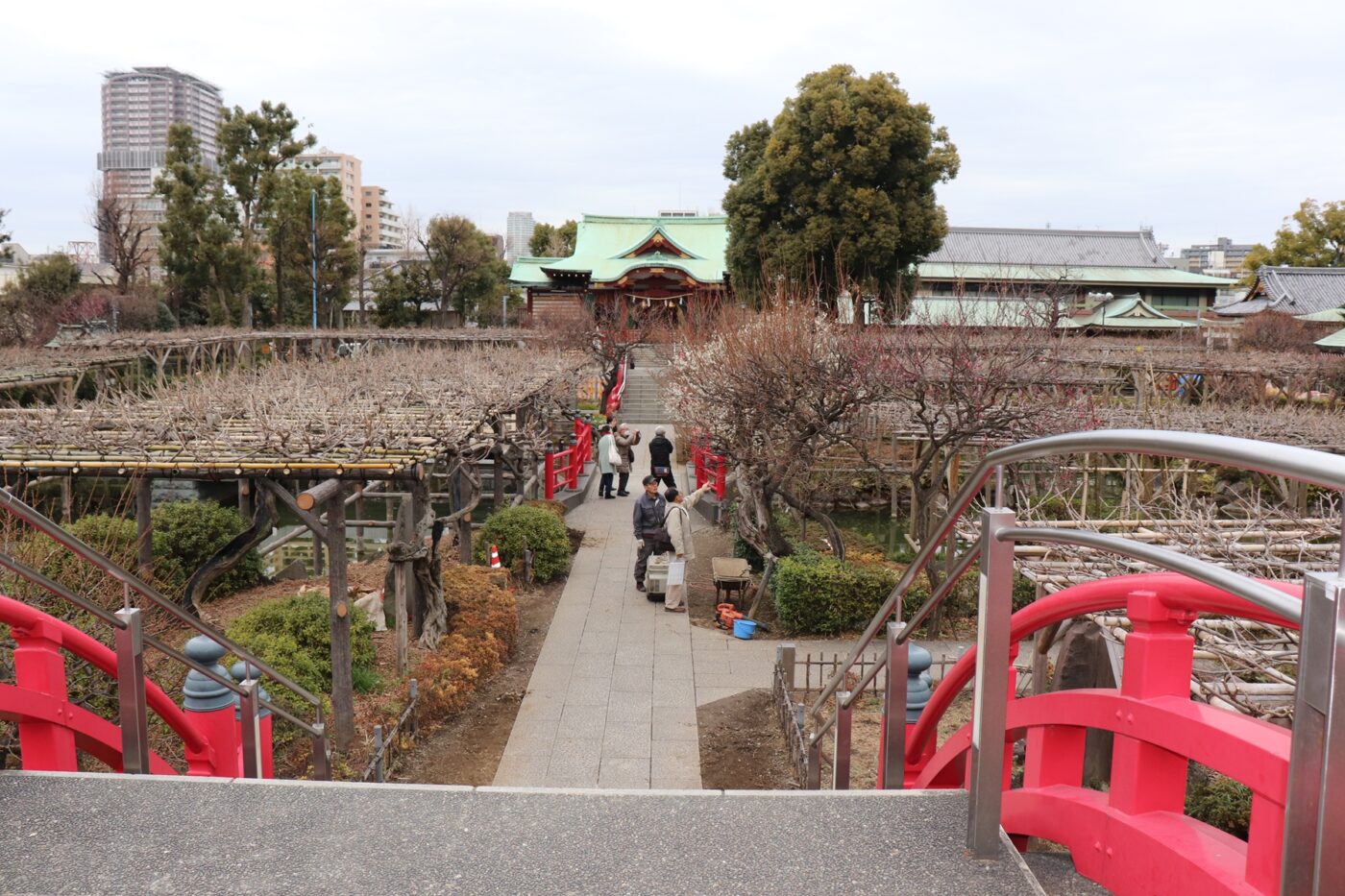 亀戸天神社の写真