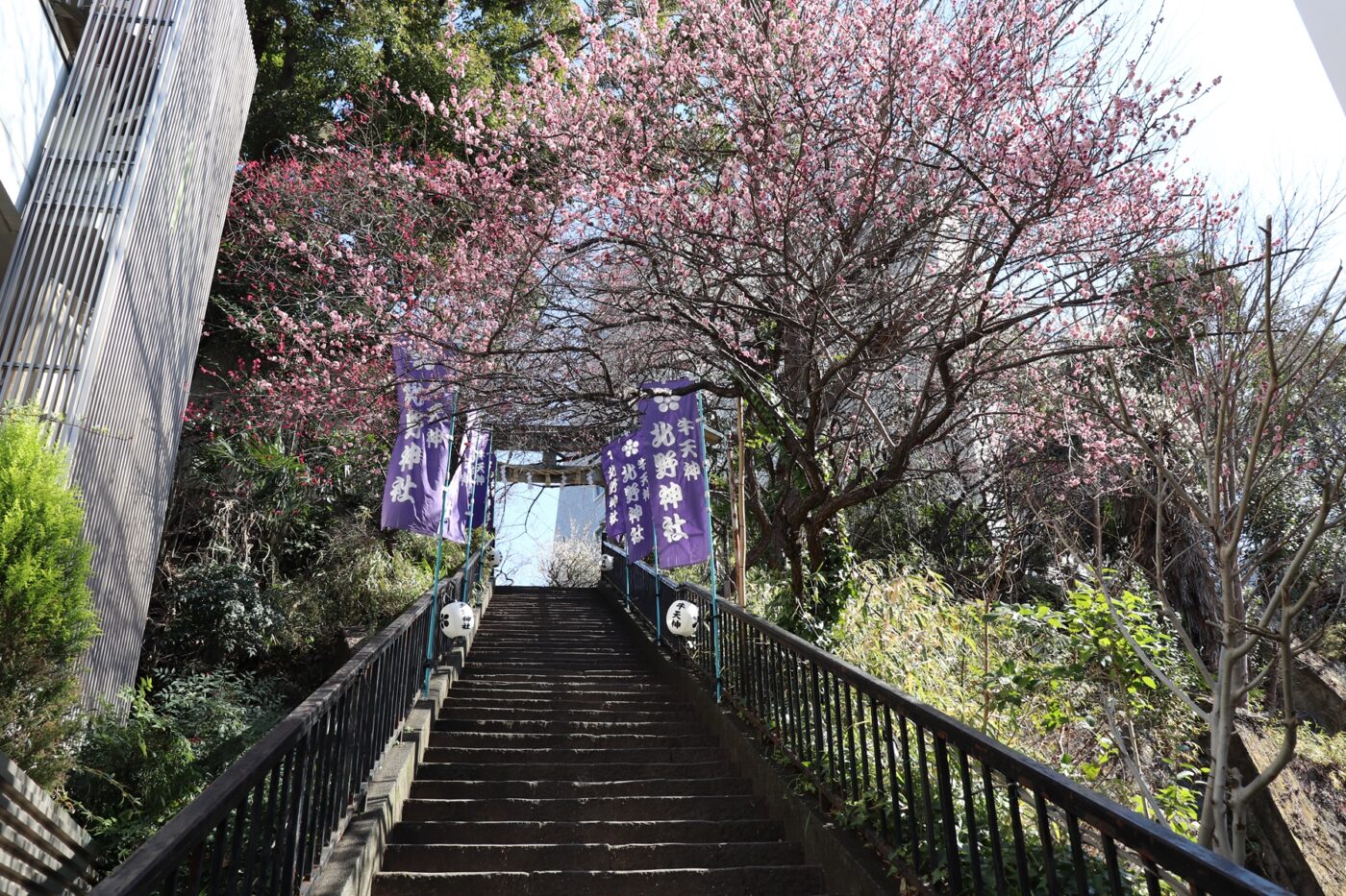 牛天神北野神社の写真