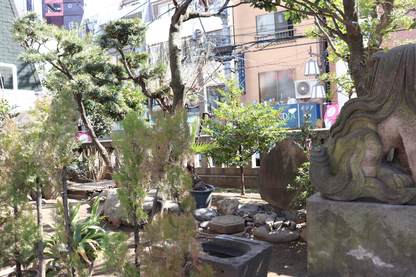 大塚天祖神社の写真