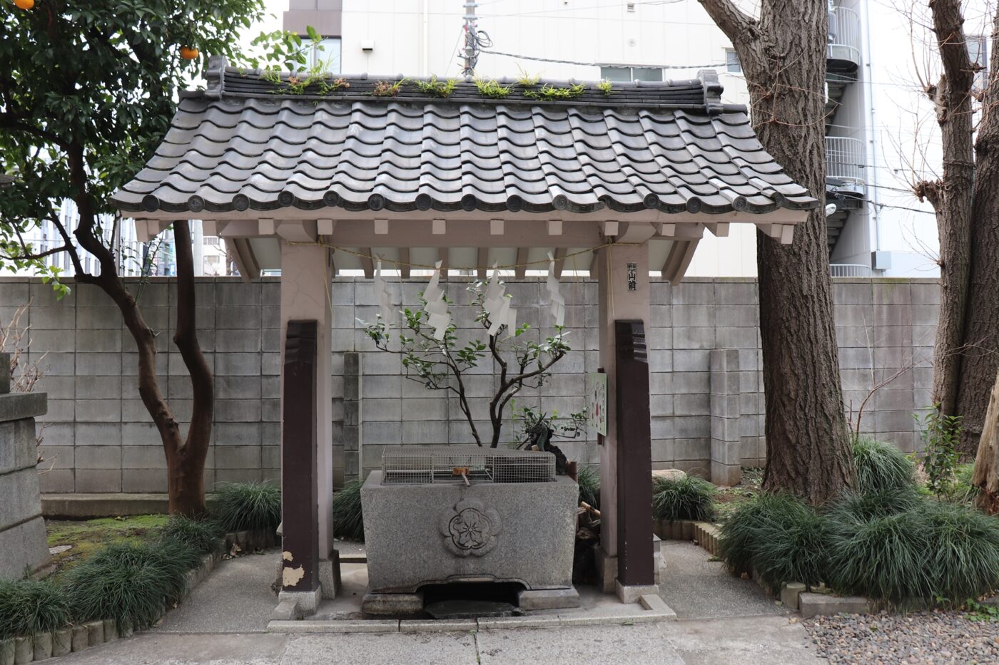 浅草橋　須賀神社の写真