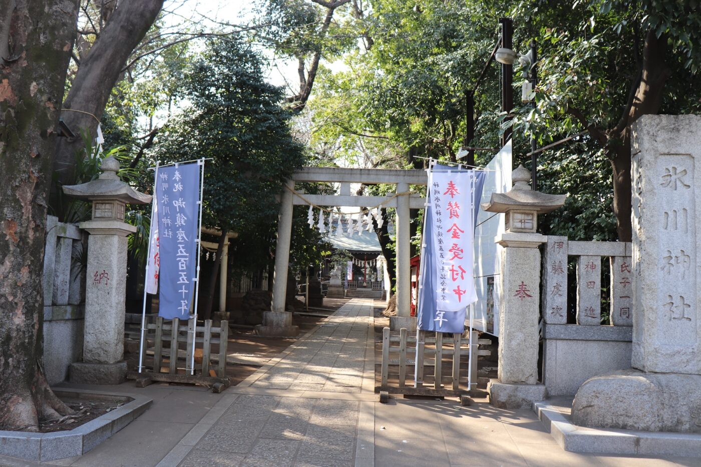 神明氷川神社の写真