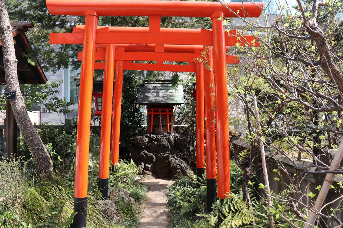 天祖神社龍土神明宮の写真