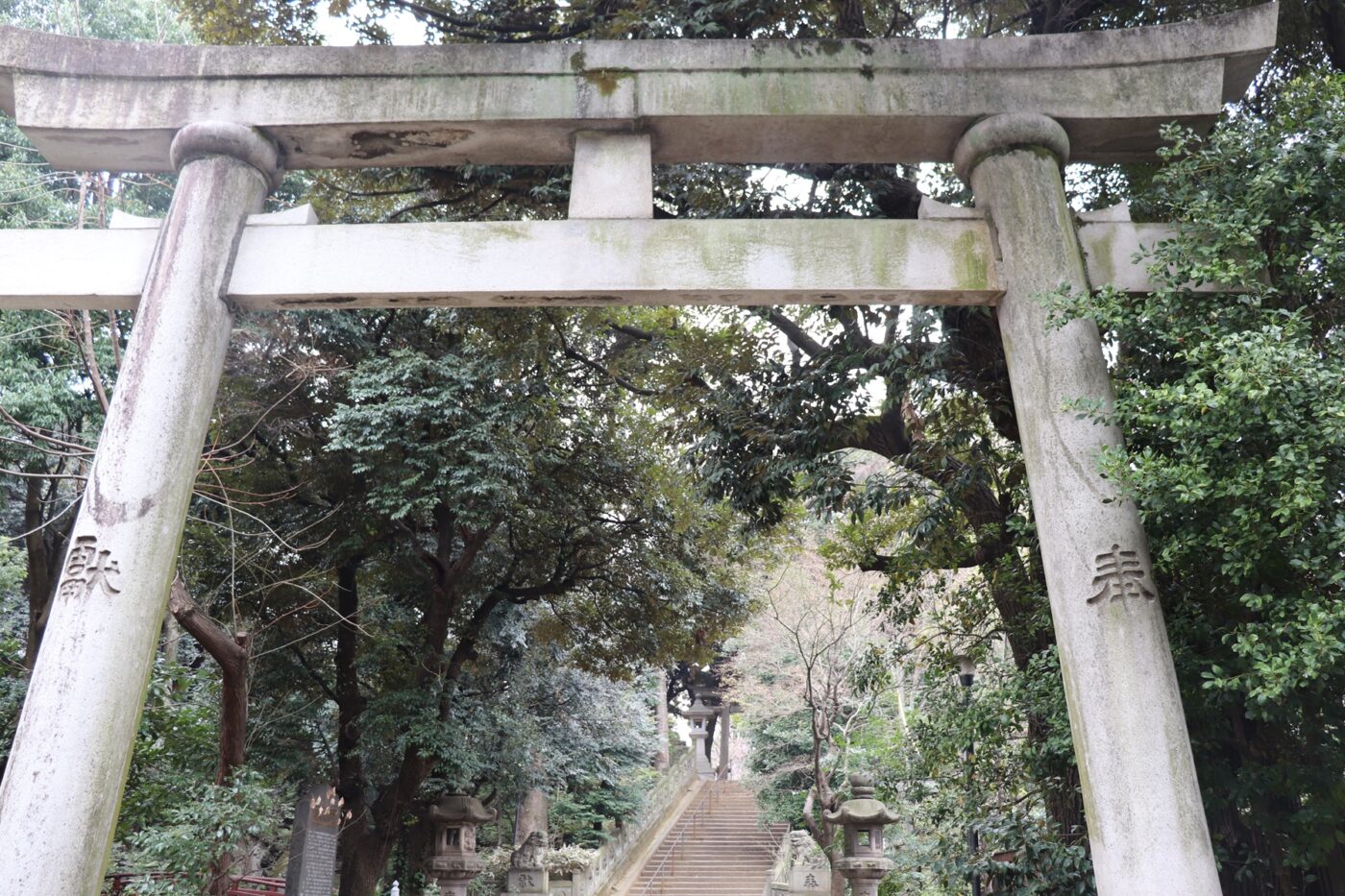 赤坂氷川神社の写真