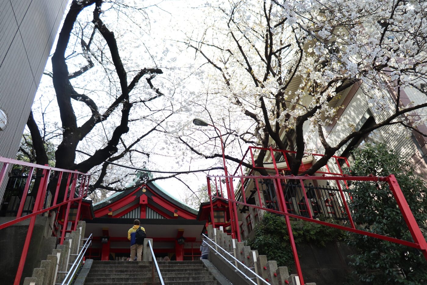 三田春日神社の写真
