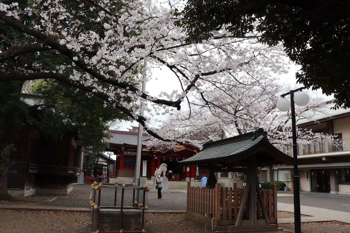 旗岡八幡神社の写真