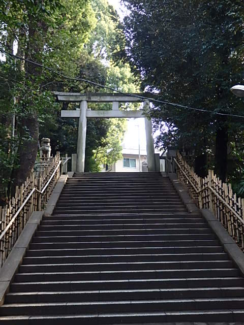 渋谷氷川神社の写真