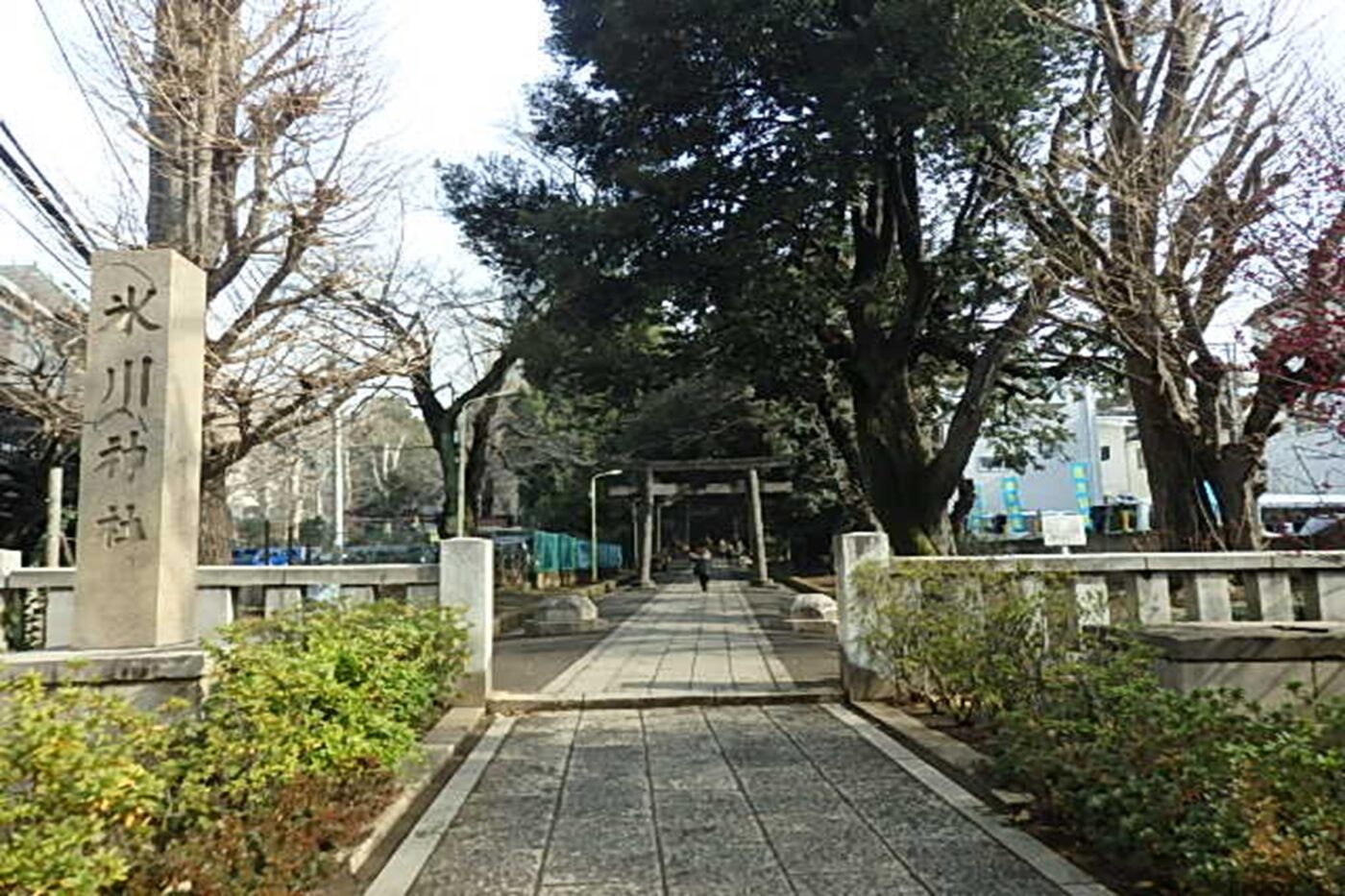 渋谷氷川神社の写真