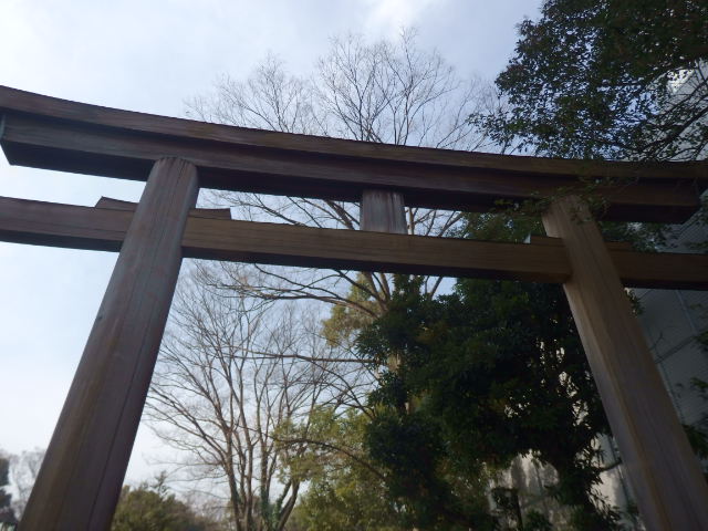 東郷神社の写真