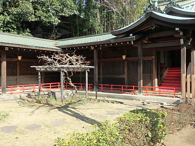 代々木八幡宮の写真
