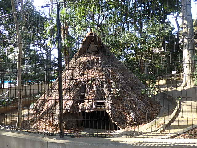 代々木八幡宮の写真