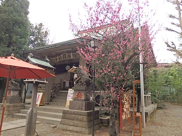 上目黒氷川神社の写真