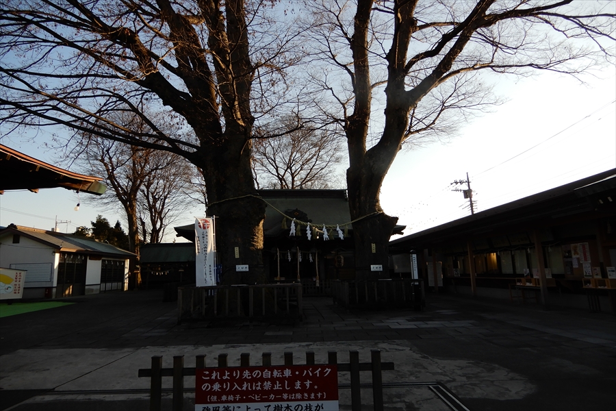熊野宮の写真