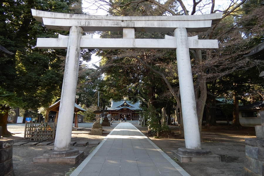 東村山 八坂神社(武蔵野牛頭天王）の写真