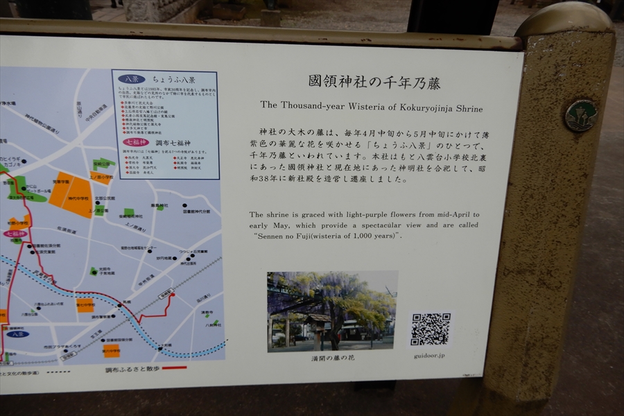 國領神社の写真