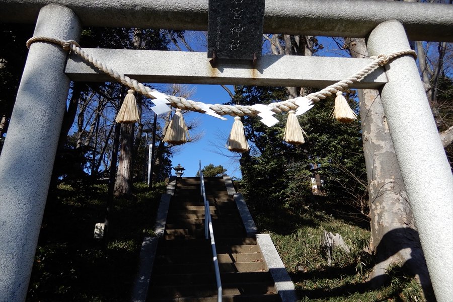 稲毛神社の写真
