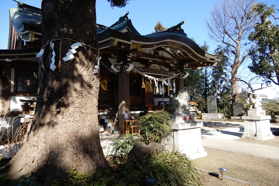 稲毛神社の写真