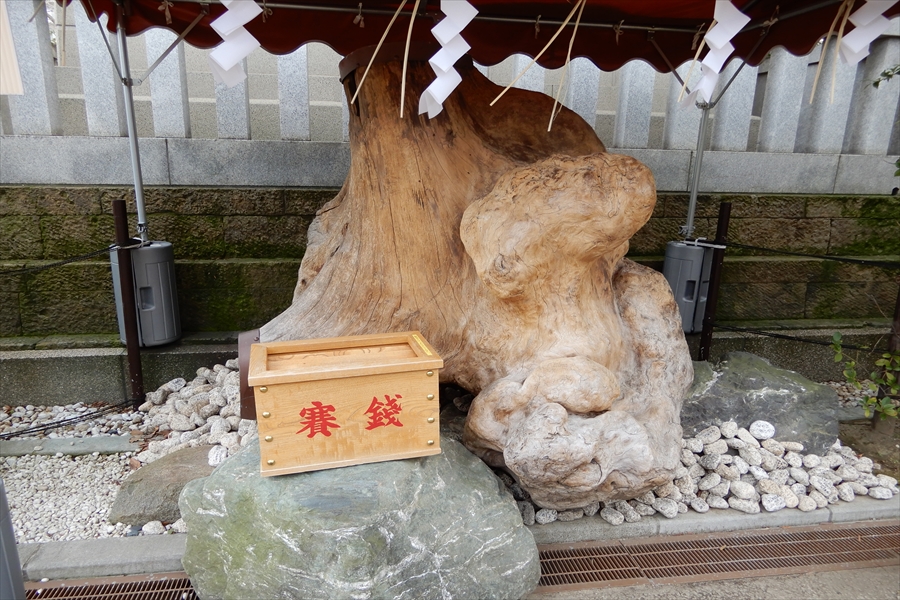 溝口神社の写真