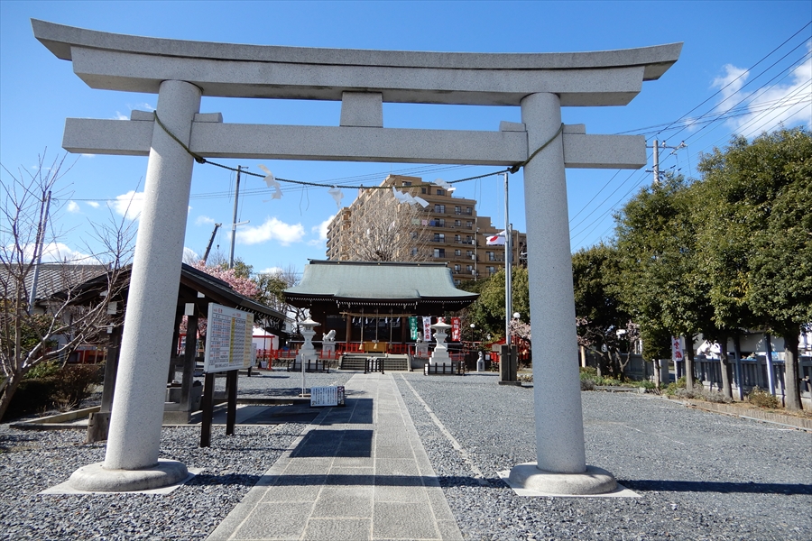 朝日氷川神社の写真