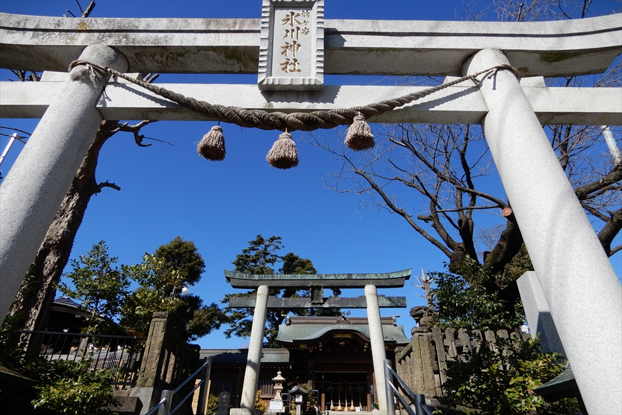 鳩ケ谷総鎮守 氷川神社の写真