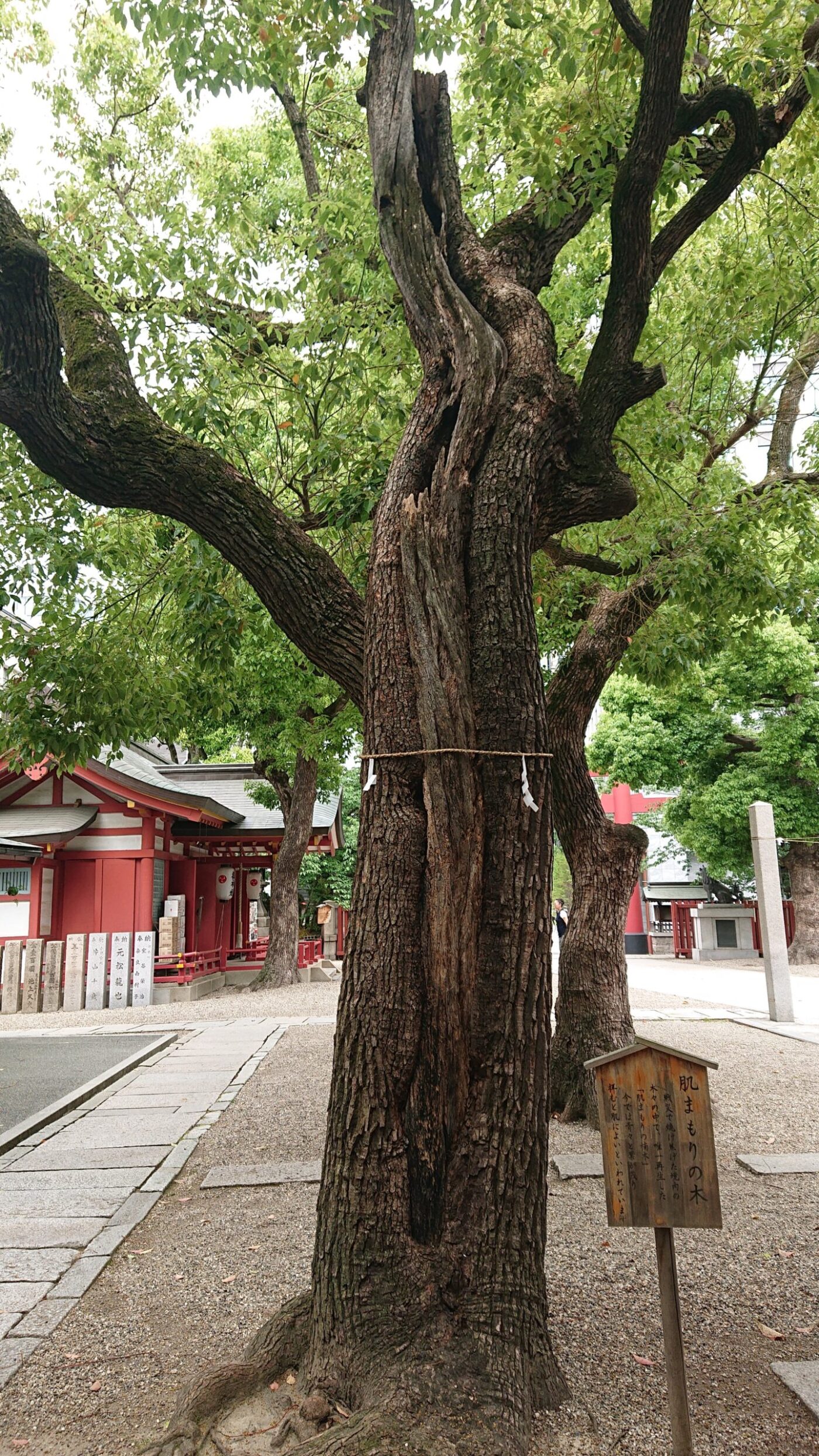 御霊神社の写真