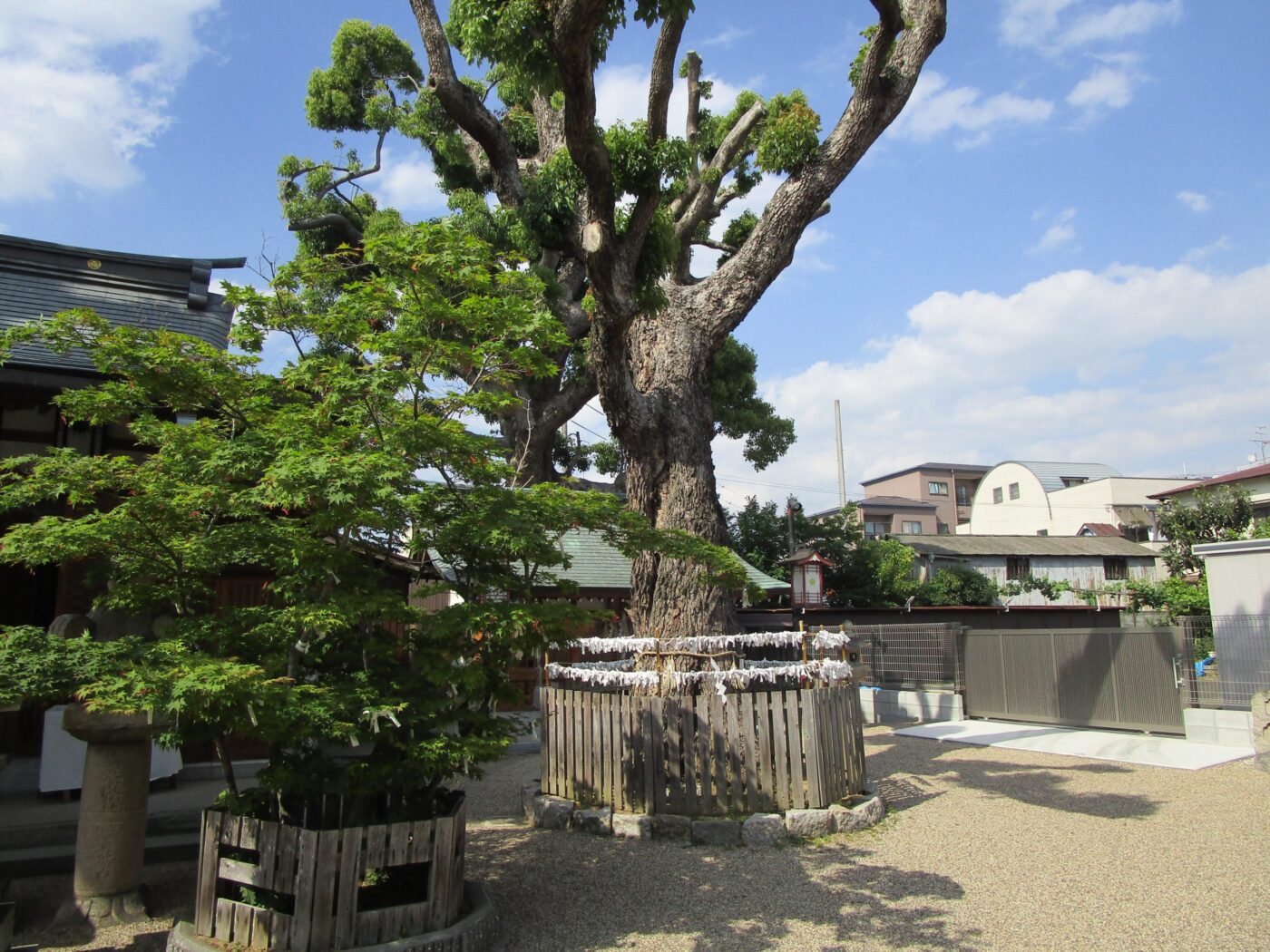 今津比枝神社の写真