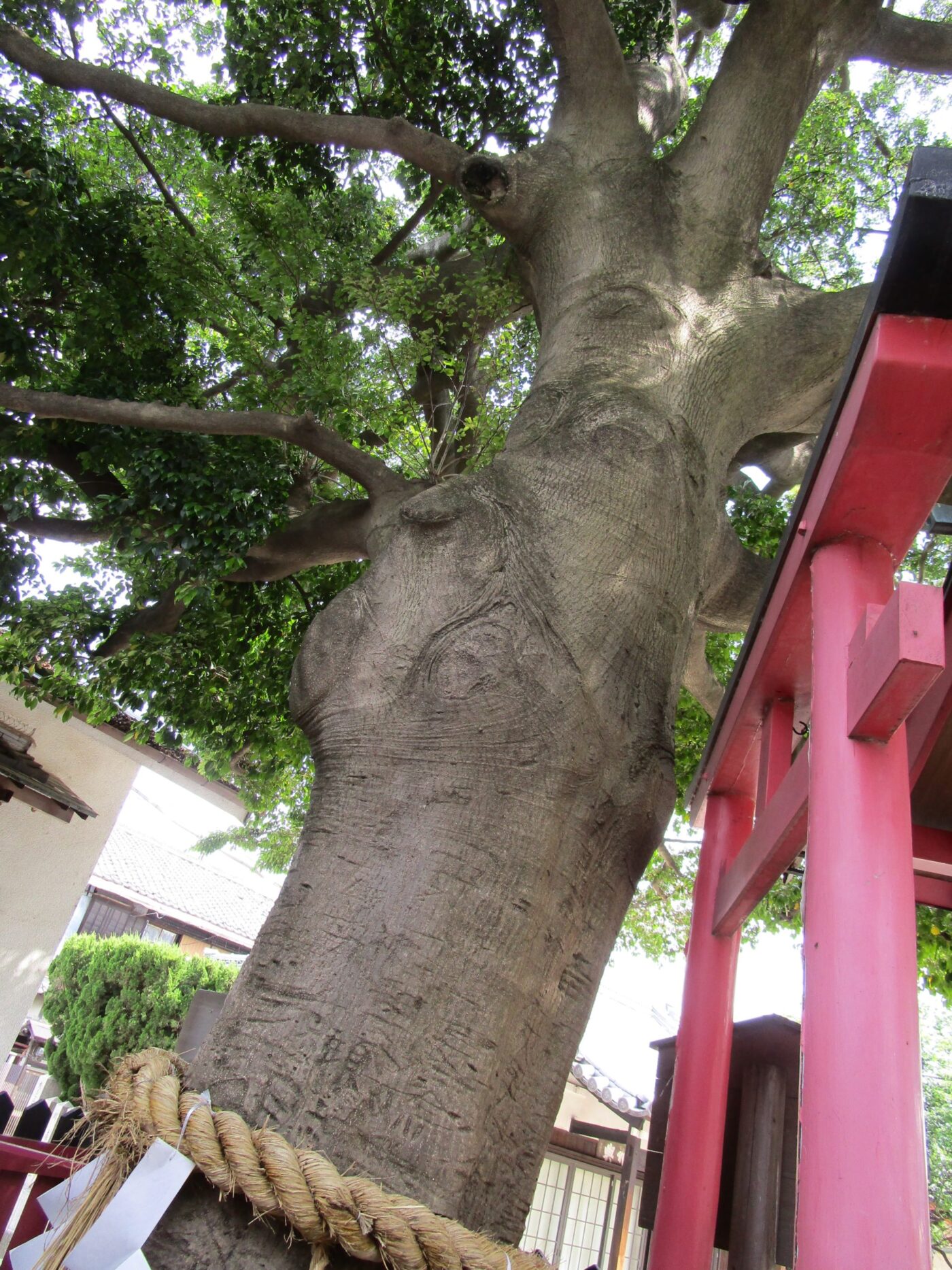 大宮神社 （大阪市旭区）の写真