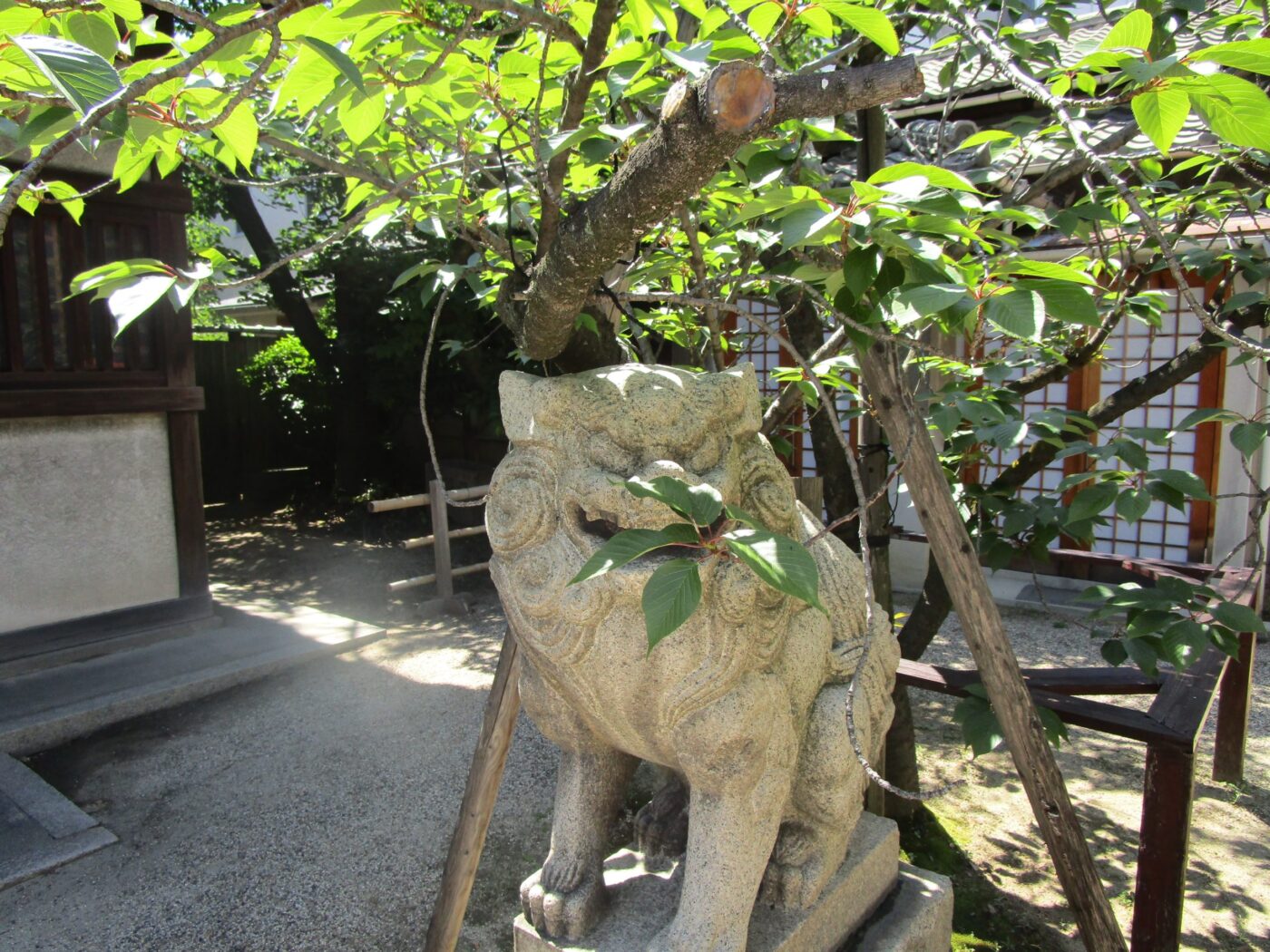四貫島住吉神社の写真