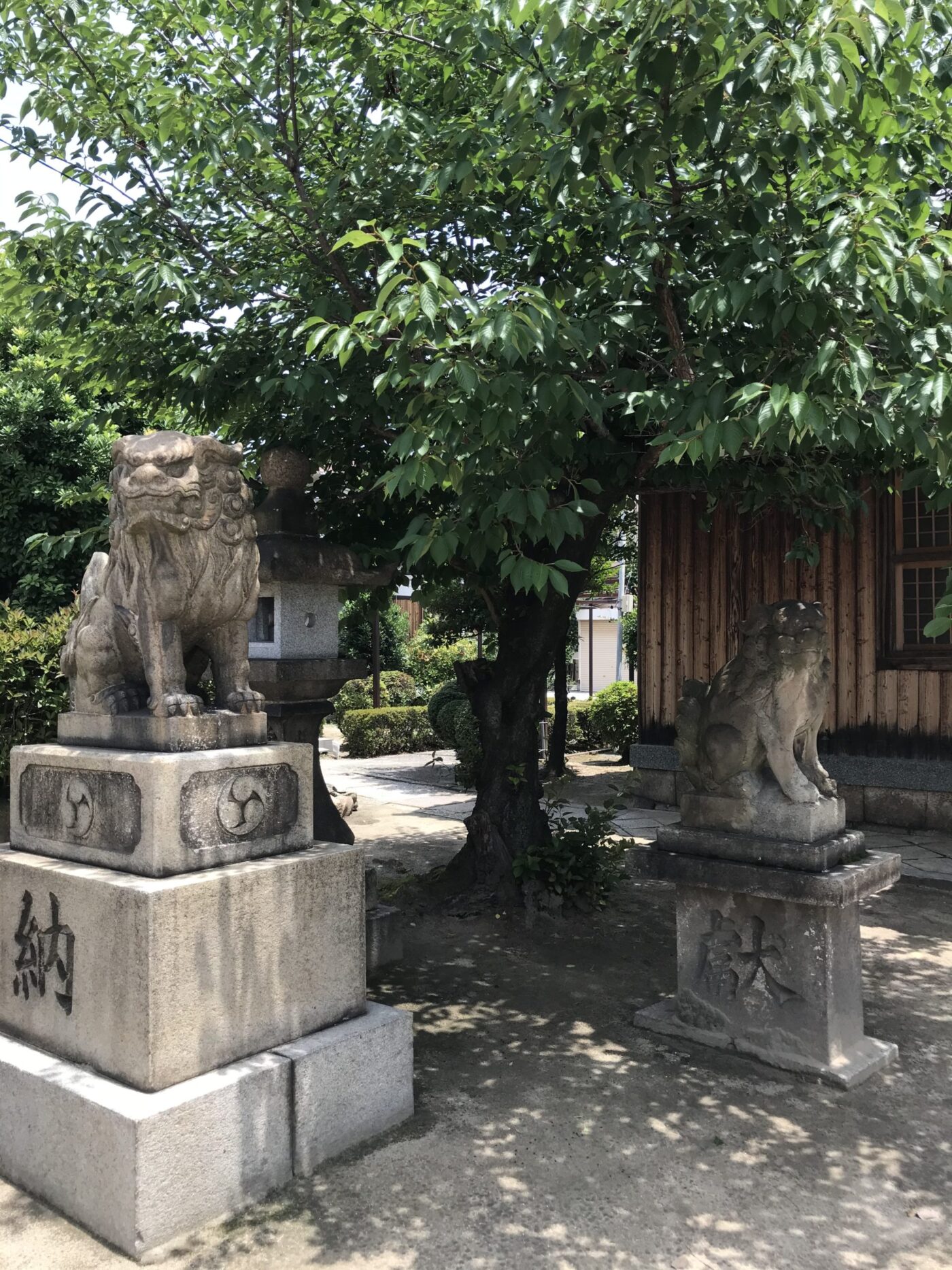 大和田住吉神社の写真