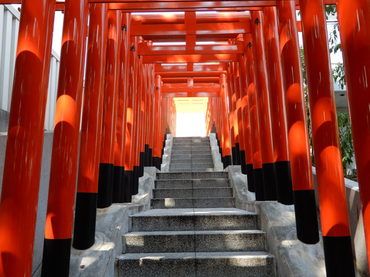 神鳥前川神社の写真