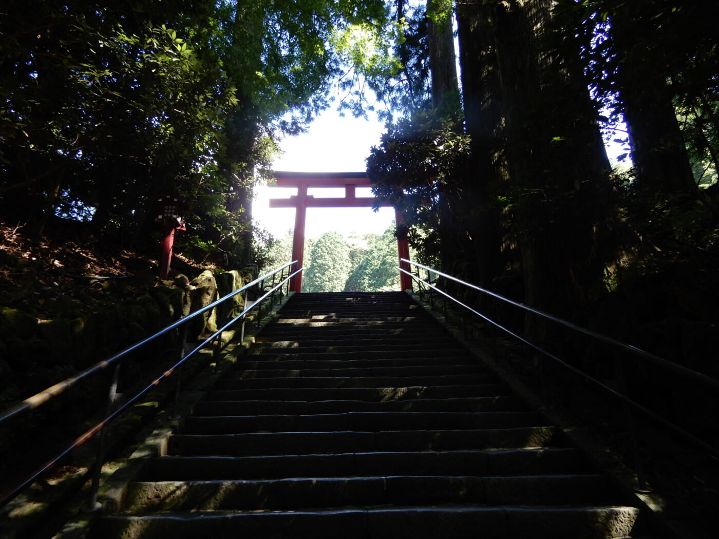 箱根神社の写真