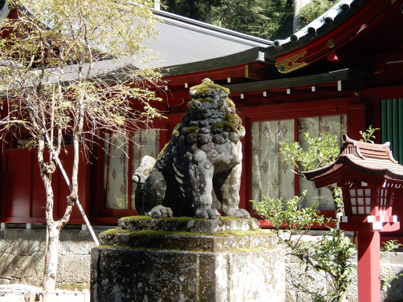 箱根神社の写真