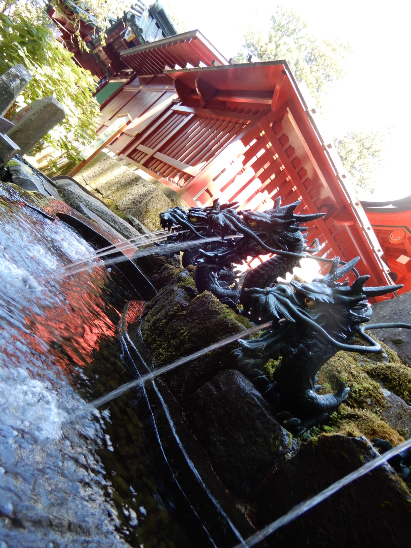 九頭龍神社　新宮（箱根神社内）の写真