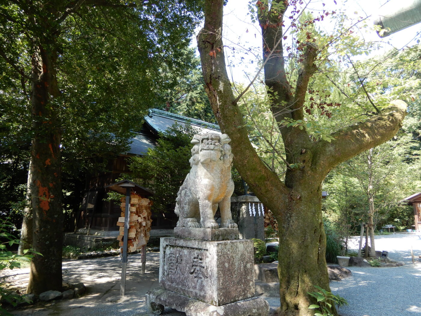 報徳二宮神社の写真