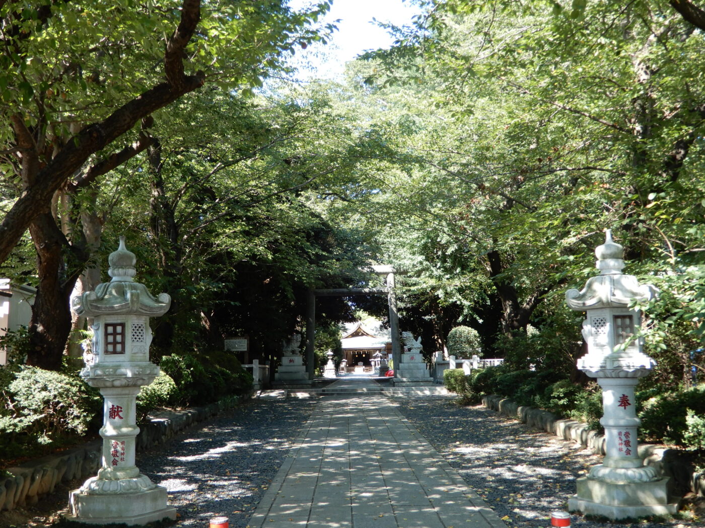 前鳥神社の写真