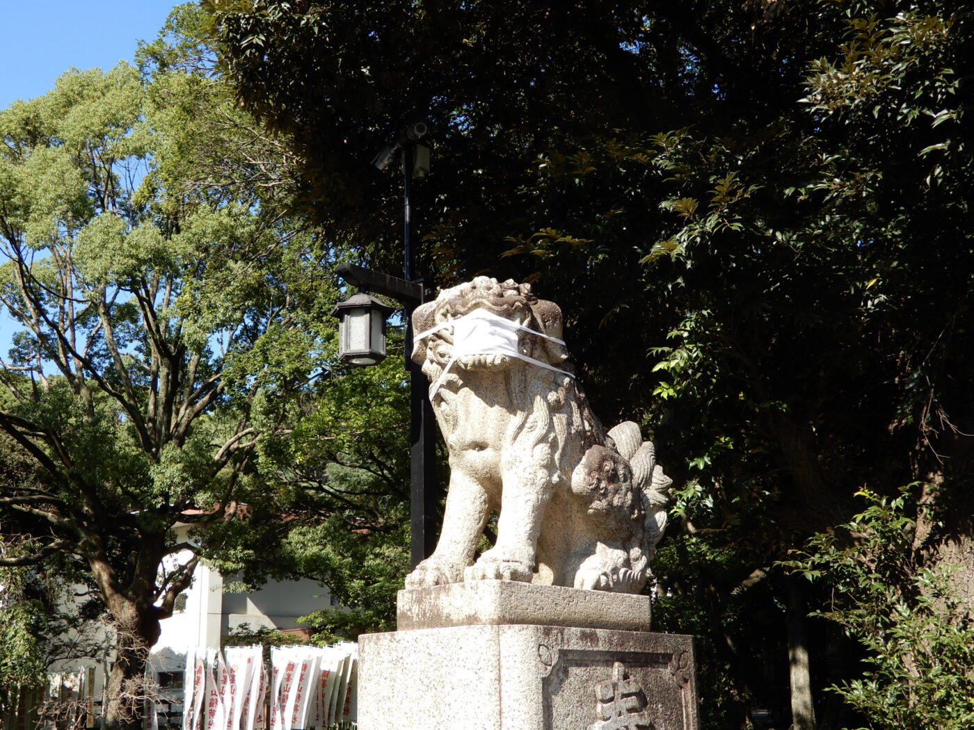 平塚八幡宮の写真